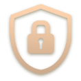 icon_security-1